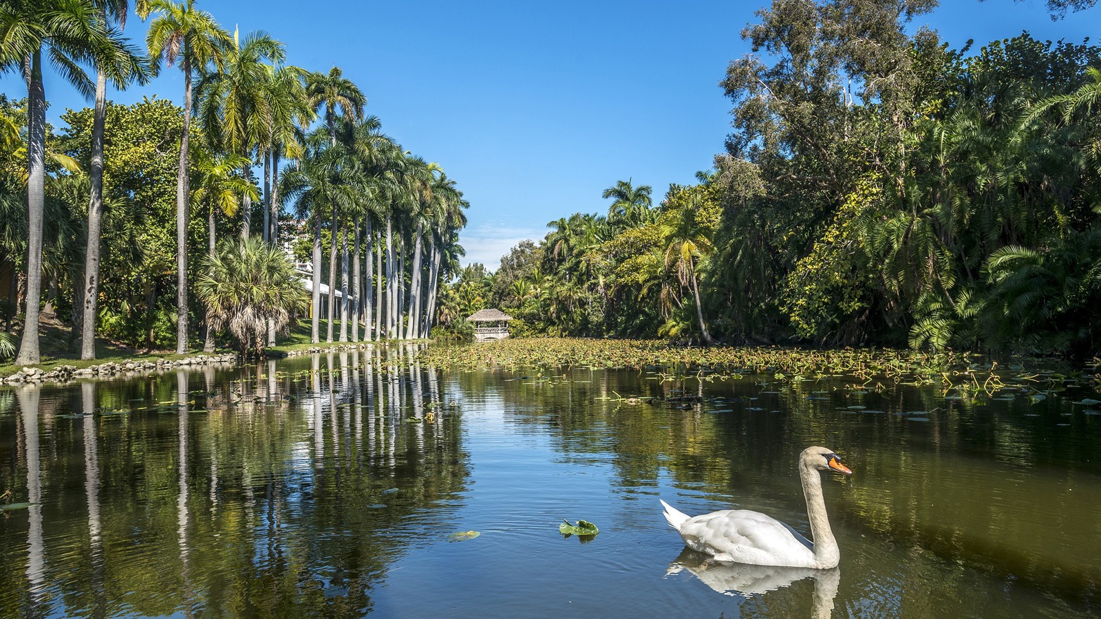 Bonnet House Museum & Gardens