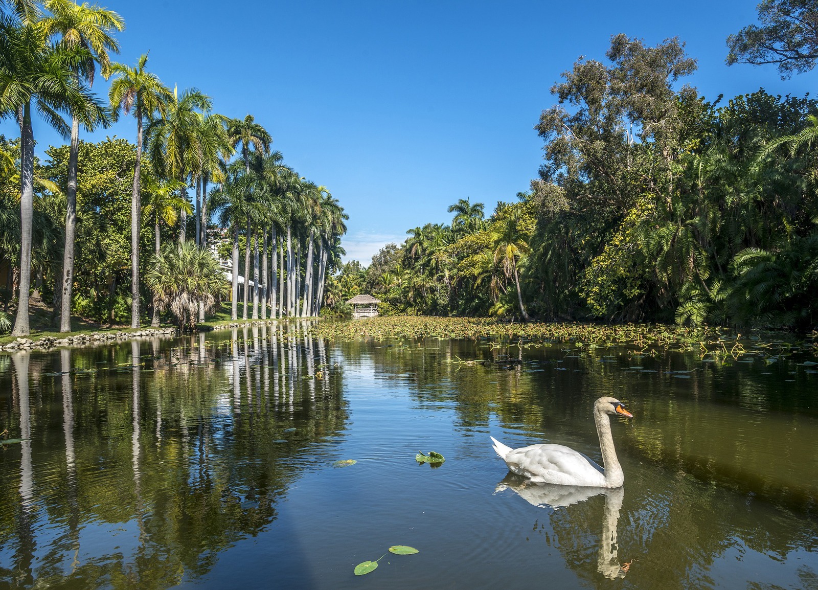 Bonnet House Museum & Gardens - Romantic Things To Do In Fort Lauderdale