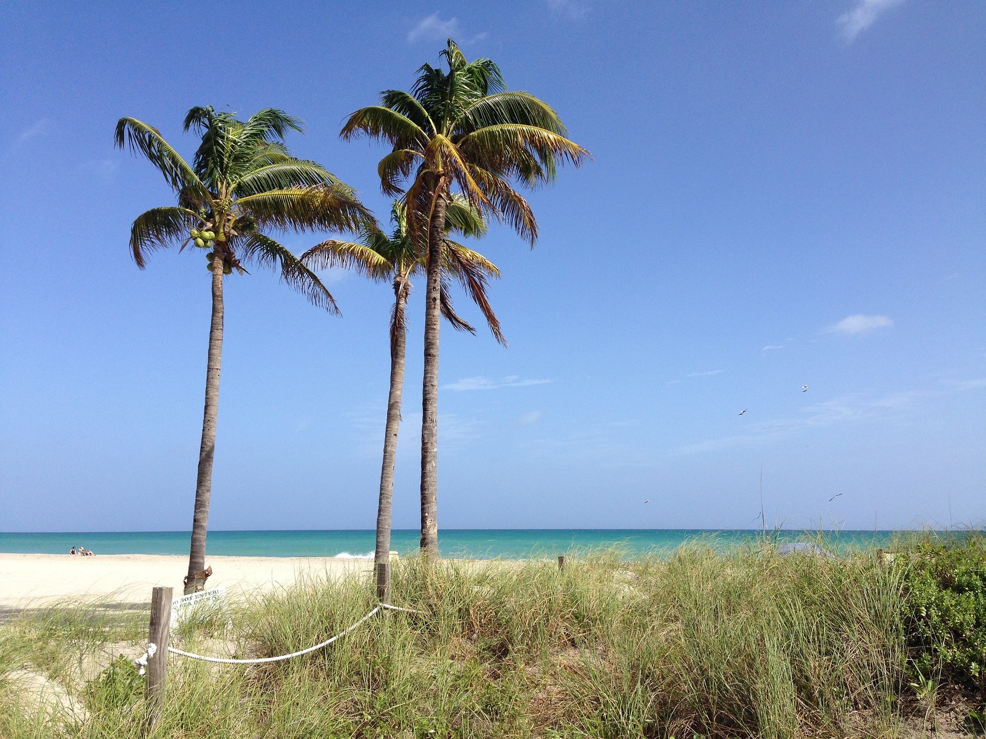 Hollywood Beach