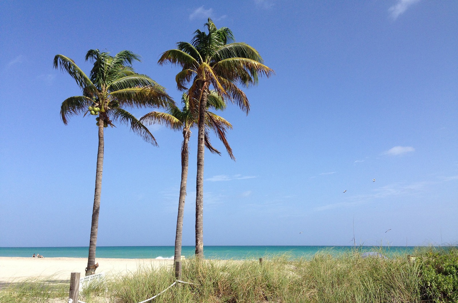 Hollywood Beach