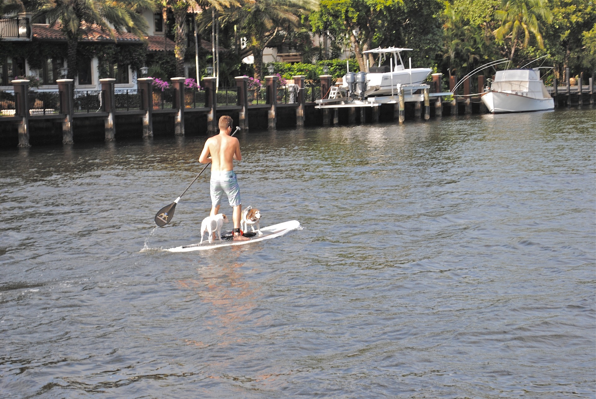 Paddle Boarding In Fort Lauderdale