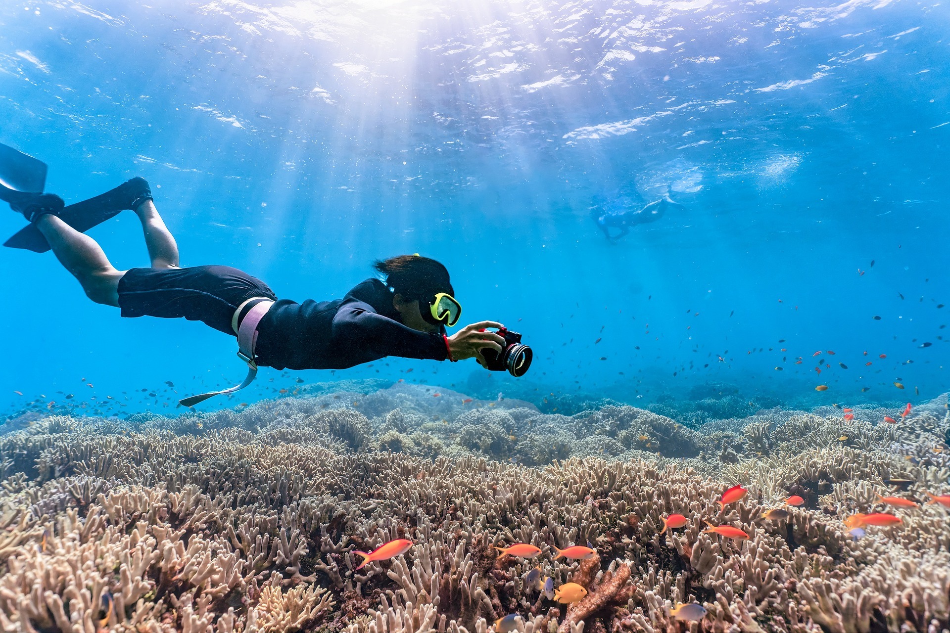 Snorkeling In The Coral Reefs