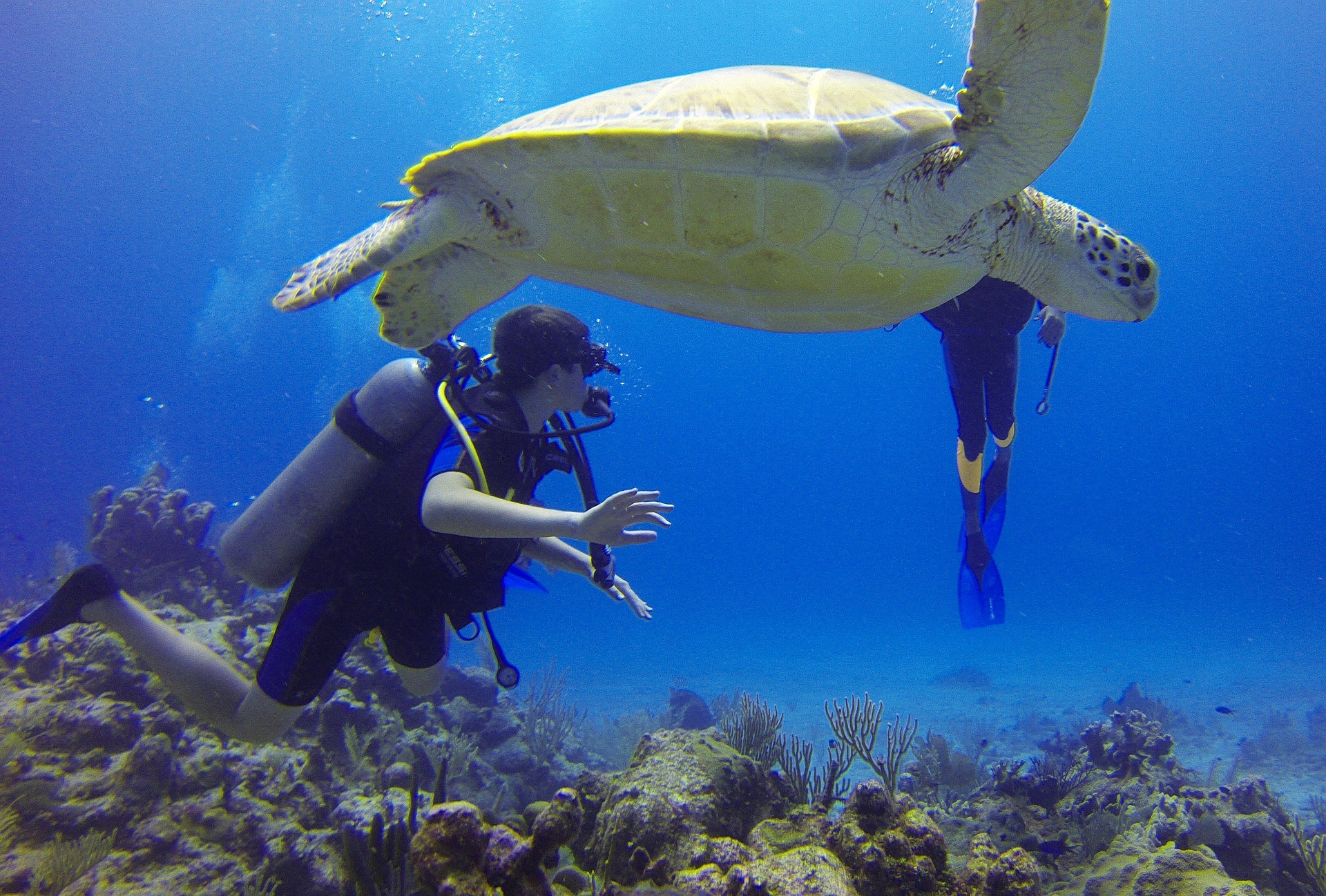 Underwater Adventures Near Fort Lauderdale